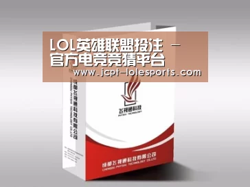 项目名称十三