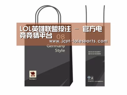 项目名称十四