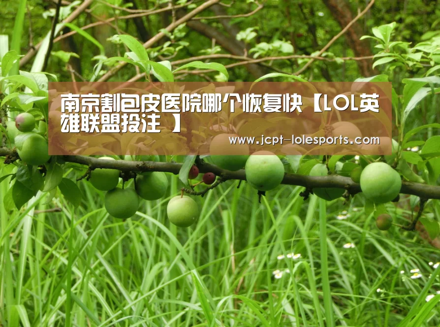 LOL英雄联盟投注 